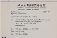 登錄號:F0036489藏品圖，第2張