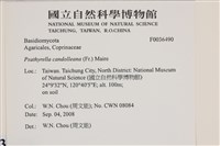 登錄號:F0036490藏品圖，第2張