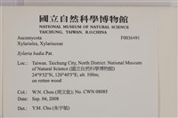 登錄號:F0036491藏品圖，第2張