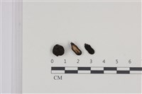 登錄號:F0036491藏品圖，第1張