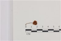 登錄號:F0036492藏品圖，第3張