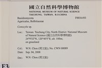 登錄號:F0036493藏品圖，第2張