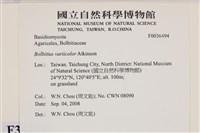 登錄號:F0036494藏品圖，第2張