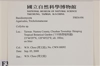 登錄號:F0036496藏品圖，第2張