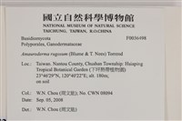 登錄號:F0036498藏品圖，第2張