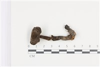 登錄號:F0036498藏品圖，第1張