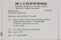 登錄號:F0036499藏品圖，第2張