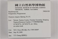 登錄號:F0036500藏品圖，第2張