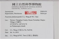登錄號:F0036501藏品圖，第2張
