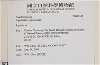 登錄號:F0036502藏品圖，第2張