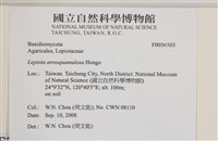 登錄號:F0036503藏品圖，第2張