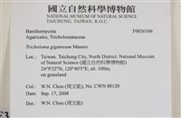 登錄號:F0036506藏品圖，第2張