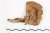 登錄號:F0036506藏品圖，第1張