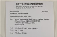 登錄號:F0036507藏品圖，第2張