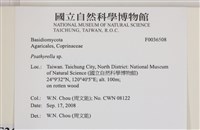 登錄號:F0036508藏品圖，第2張
