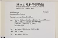 登錄號:F0036510藏品圖，第2張