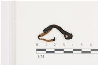 登錄號:F0036510藏品圖，第1張