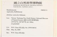 登錄號:F0036511藏品圖，第2張