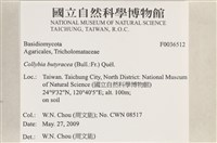 登錄號:F0036512藏品圖，第2張
