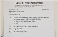 登錄號:F0036517藏品圖，第2張