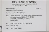 登錄號:F0036518藏品圖，第2張
