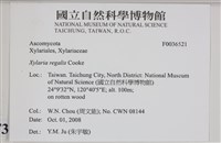登錄號:F0036521藏品圖，第2張