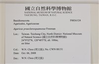 登錄號:F0036524藏品圖，第2張