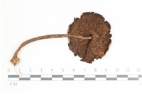 登錄號:F0036524藏品圖，第3張