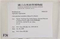 登錄號:F0036525藏品圖，第3張