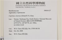 登錄號:F0036527藏品圖，第2張