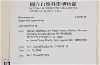 登錄號:F0036528藏品圖，第2張