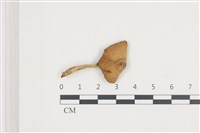 登錄號:F0036528藏品圖，第1張