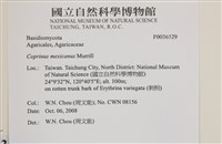 登錄號:F0036529藏品圖，第2張