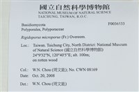 登錄號:F0036533藏品圖，第2張