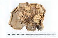 登錄號:F0036533藏品圖，第3張