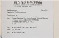 登錄號:F0036534藏品圖，第2張