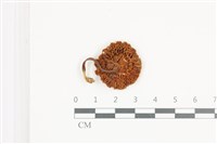 登錄號:F0036534藏品圖，第3張
