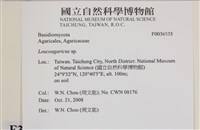 登錄號:F0036535藏品圖，第2張