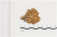 登錄號:F0036535藏品圖，第3張