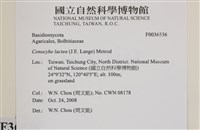 登錄號:F0036536藏品圖，第2張