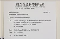 登錄號:F0036537藏品圖，第2張