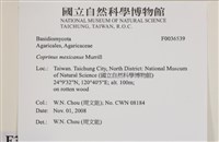 登錄號:F0036539藏品圖，第2張