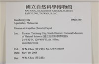 登錄號:F0036540藏品圖，第2張