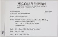 登錄號:F0036543藏品圖，第2張