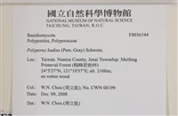 登錄號:F0036544藏品圖，第2張