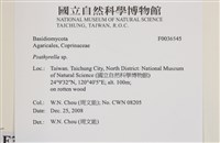 登錄號:F0036545藏品圖，第2張