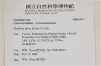 登錄號:F0036549藏品圖，第2張