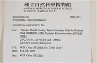 登錄號:F0036551藏品圖，第2張