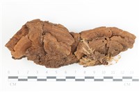 登錄號:F0036552藏品圖，第1張