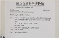 登錄號:F0036553藏品圖，第2張
